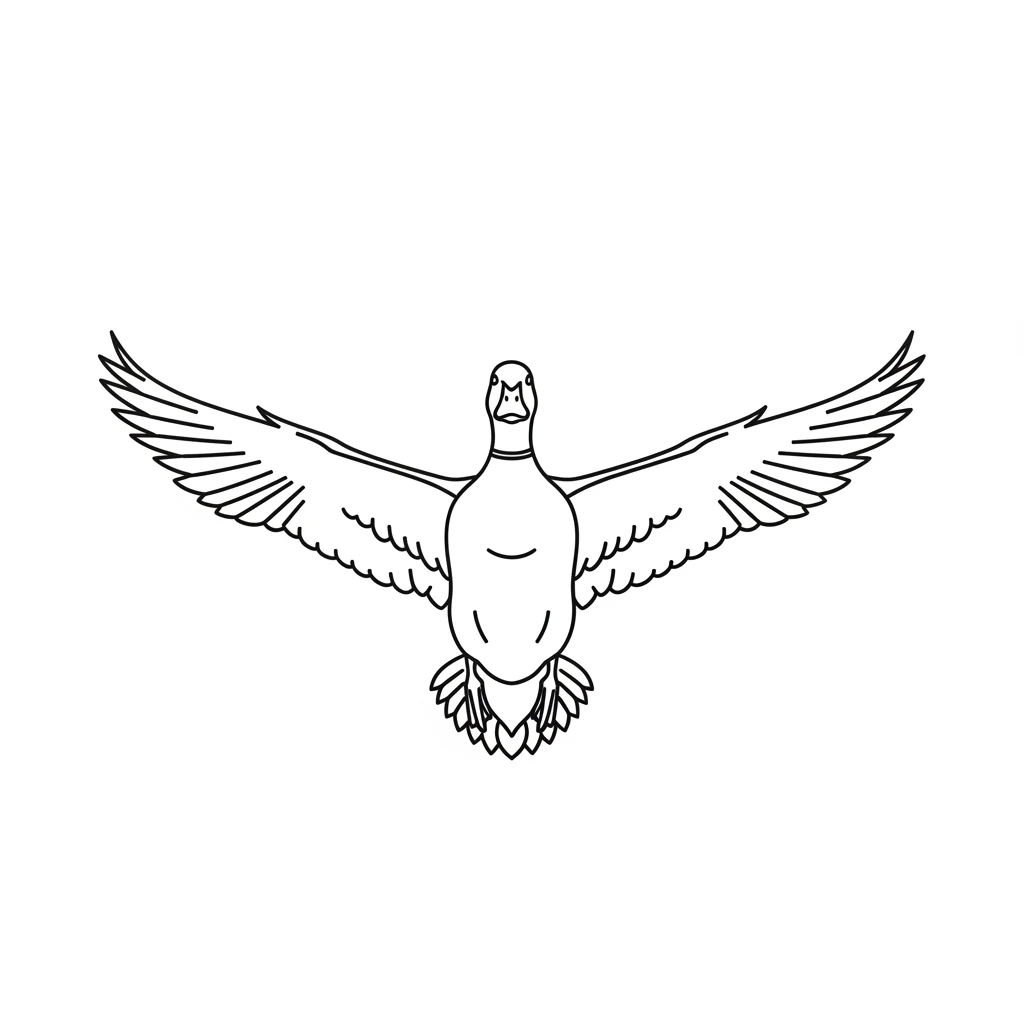 desenho de Duck para colorir